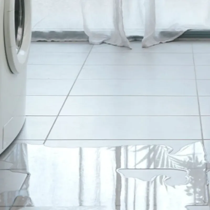 Appliance Leak Cleanup in Cave Junction, OR